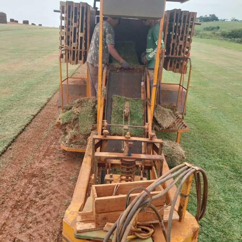 5ba83965-5af7-4392-a232-991723f225cf