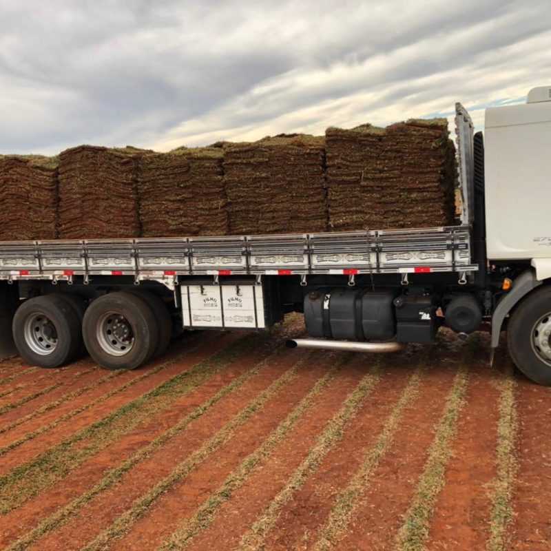 5ba93b43-735a-455e-9ca6-66ac66242b89